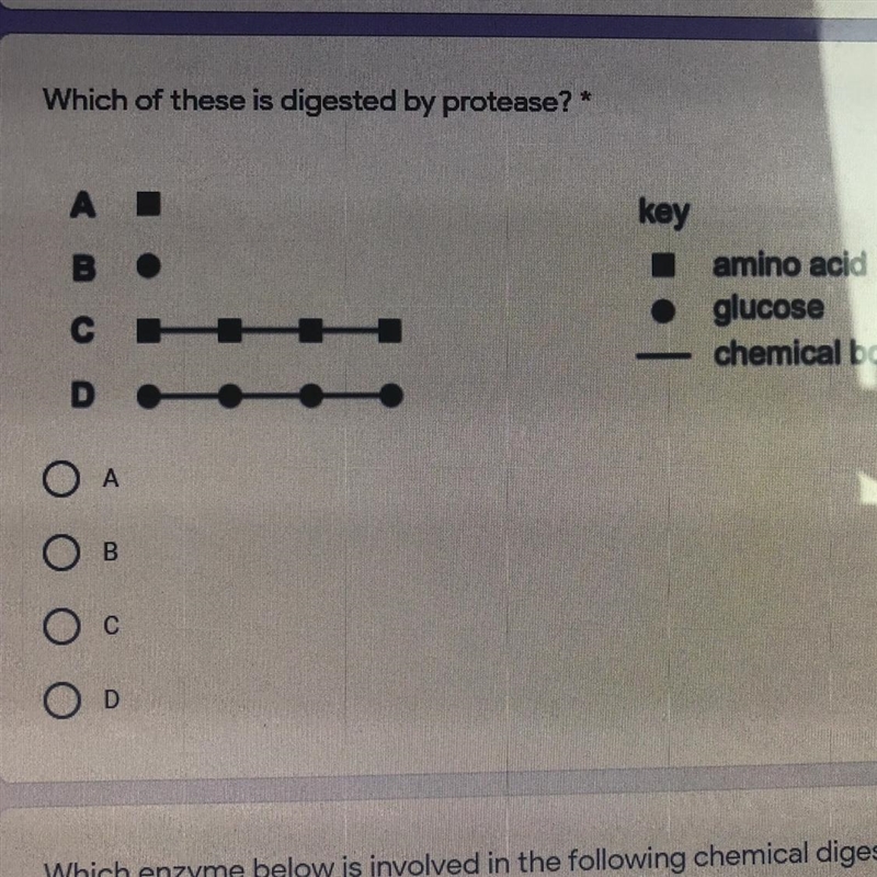 Which of these is digested by protasse-example-1