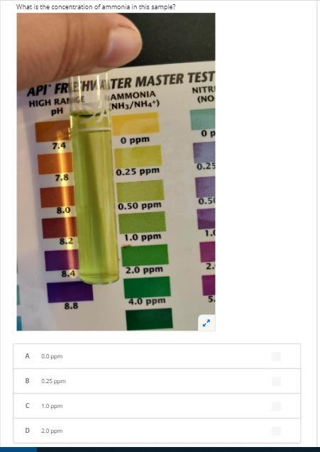 I am colorblind someone please help me with this :,)-example-2