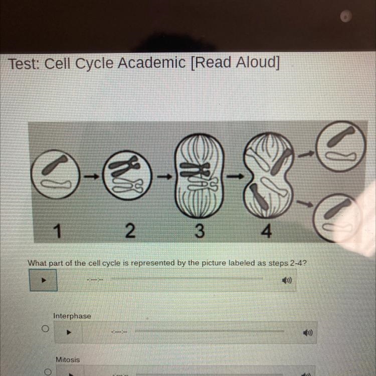 What part of the cell cycle is represented by the picture labeled as steps 2-4?-example-1