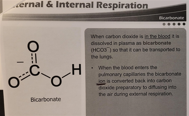 True or False: When carbon dioxide is in the blood, it is dissolved into bicarbonate-example-2