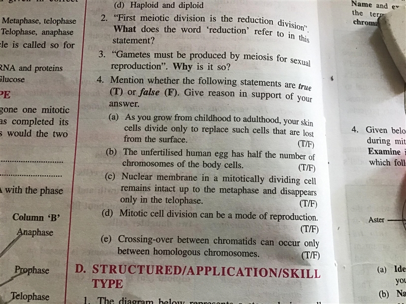 Choose T (True) or F (False)-example-1