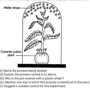 Please tell me the answer ​-example-1