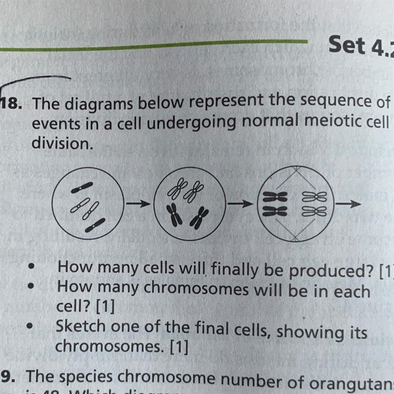 Can someone pls answer the first 2-example-1