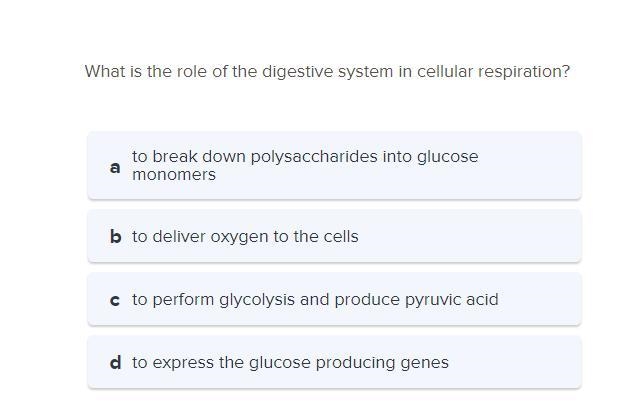 Help what's the answer-example-1