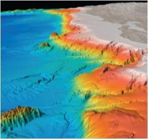 In the image shown below, the abyssal plain is shown in what color? A. Blue. B. Green-example-1