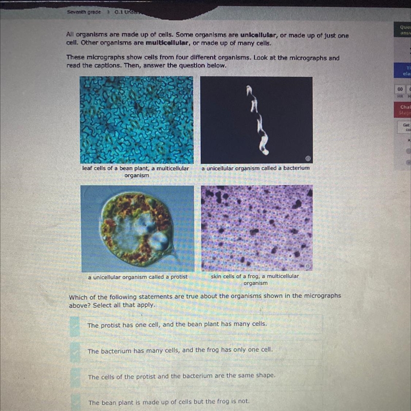 All organisms are made up of cells. Some organisms are unicellular, or made up of-example-1