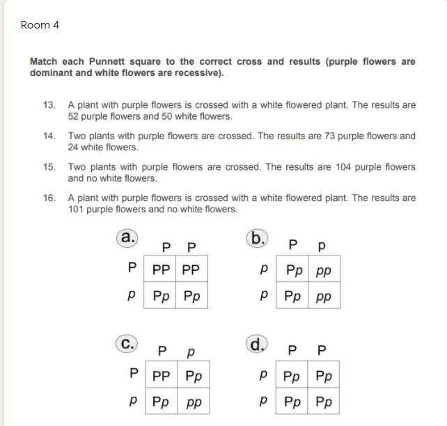 Help please im stuck on an escape room worksheet-example-1