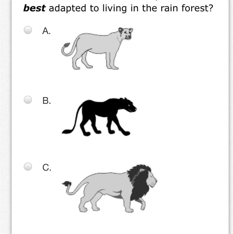 Which of these will be the best for a jungle environment-example-1