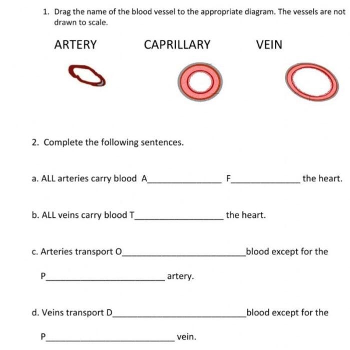 Can someone help!? I want help-example-1