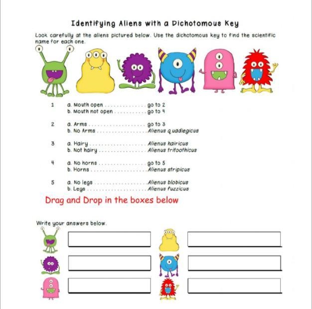 Using the Dichotomous Key, Identify the RED organism. a. Alienus Stripicus b. Alienus-example-1