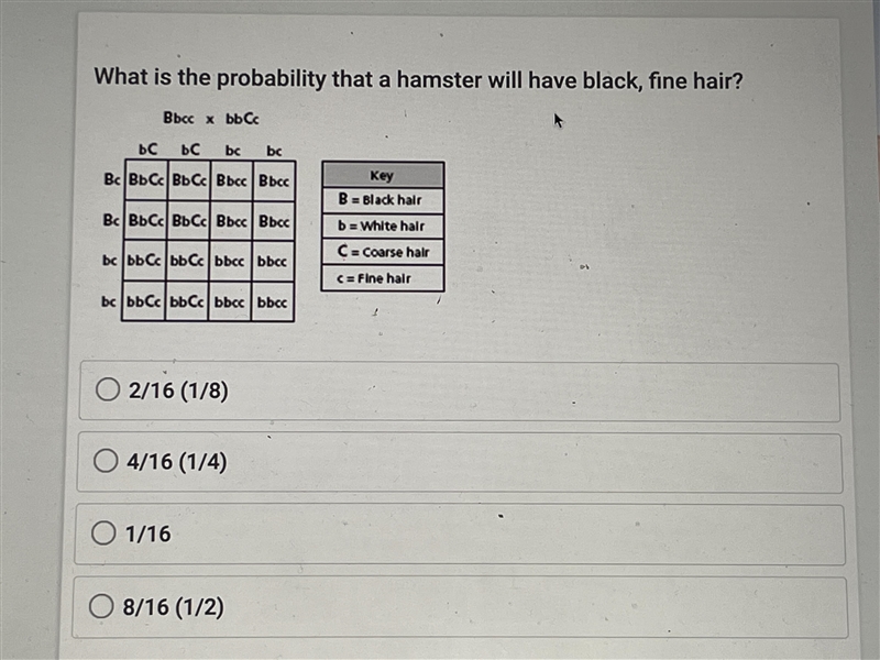 What is the probability that a hamster will have black, fine hair? A) 2/16 (1/8) B-example-1