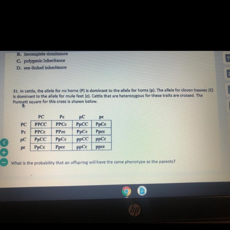 Answer could be A.)3/16 B.)9/16 C.)11/16 Or D.)13/16-example-1