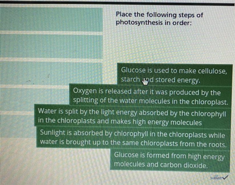 Please the following steps of photosynthesis in order-example-1