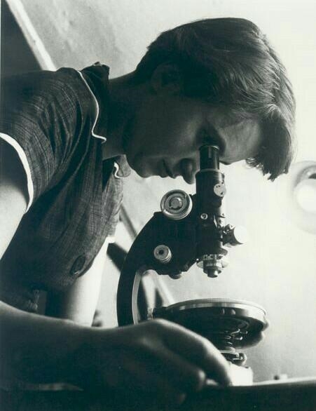 Hey There! Can you please help me with one question? ➠Who was Rosalind Franklin? Please-example-1