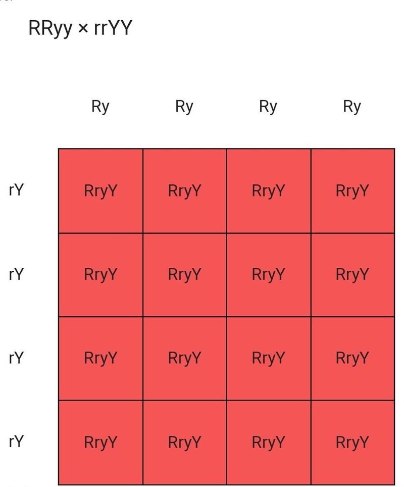 How many different genotypes are possible from a cross between the parents RRYy and-example-1