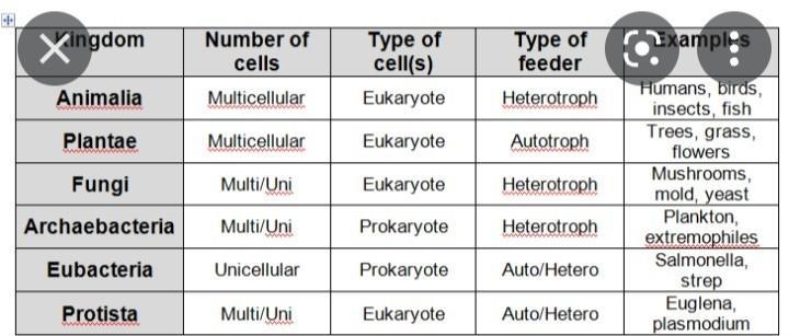 Please help me complete this table!-example-2