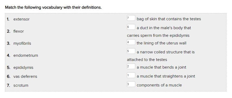 Match the following vocabulary with their definitions. 1. extensor 2. flexor 3. myofibrils-example-1