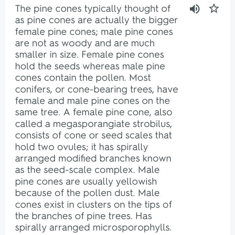 ASAP PLS What is the difference between large and small pine cones? NO COPY AND PASTE-example-1