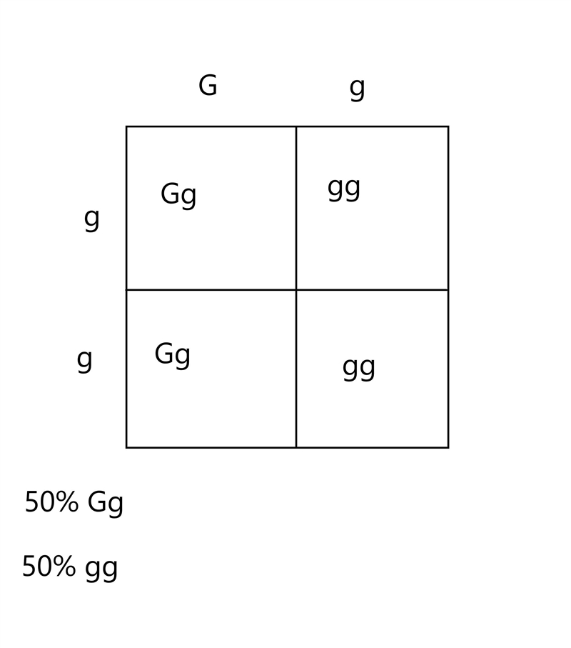 Does anyone know the answer??! HERE IS THE Q: In pea plants, green peas are dominant-example-1