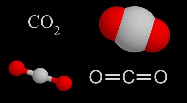 Need the answer right now carbon dioxide or carbon monoxide is a compound whose molecules-example-1