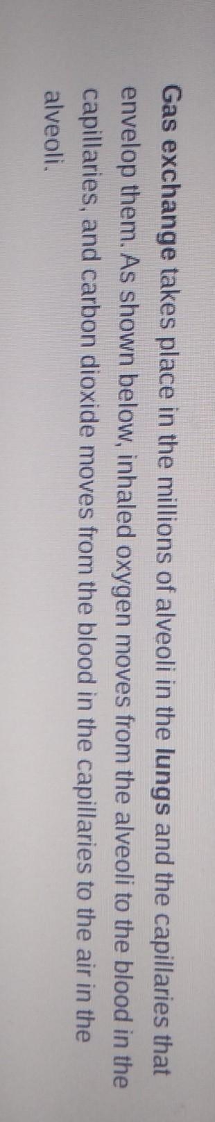 Integrated Science Respiration and Air pollution any one, atleast 1​-example-1