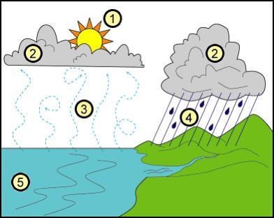 Study the picture. From the water cycle , This causes the water to heat up and evaporate-example-1