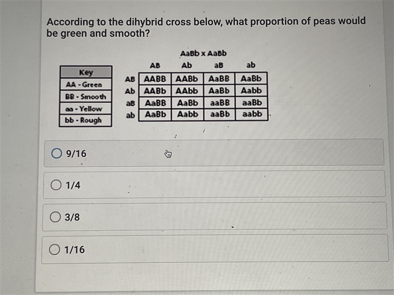 According to the dihybrid cross below, what proportion of peas would be green and-example-1