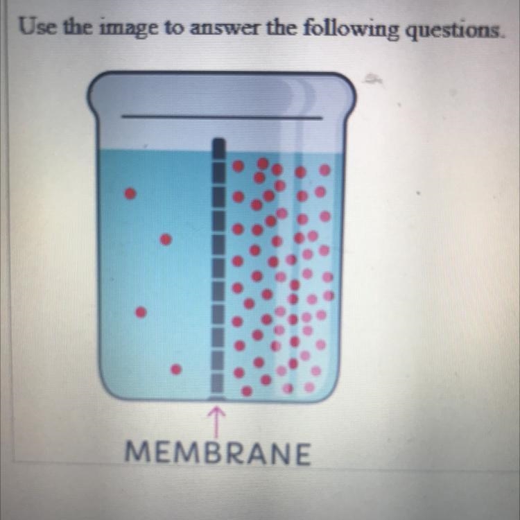 3. Which side represents low concentration?-example-1