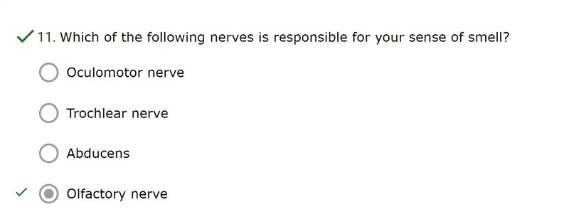 Which of the following nerves is responsible for your sense of smell?-example-1