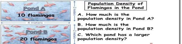 HELP PLEASE!!!!!! :)-example-1