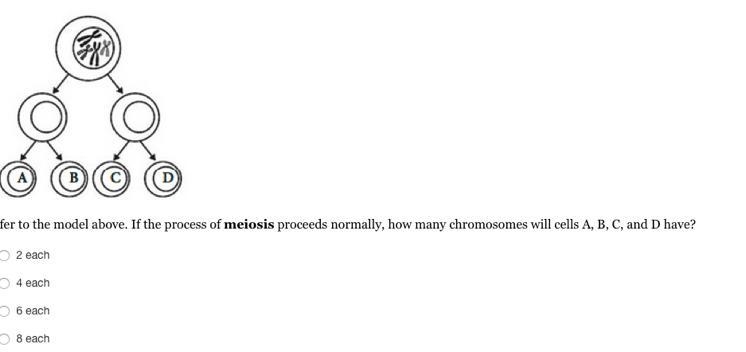 What's the answer please?-example-1