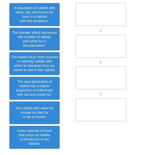 Place the tiles in order so that they describe a population undergoing natural selection-example-1