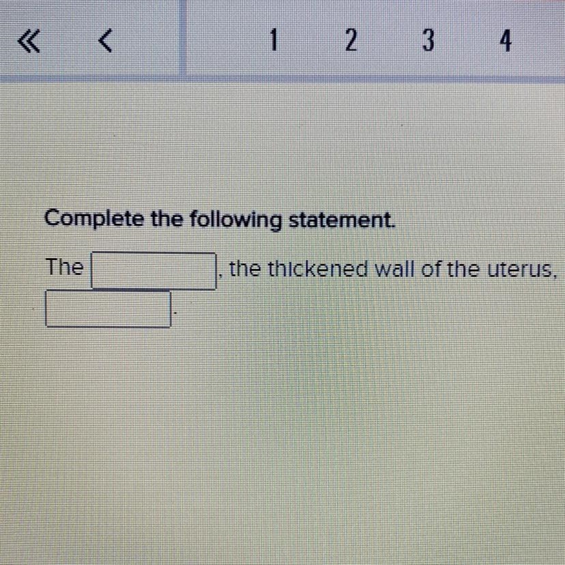 Complete the following statement. The______, the thickened wall of the uterus, is-example-1