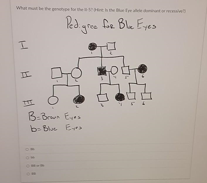 What is the genotype ​-example-1