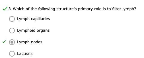 Which of the following structure's primary role is to filter lymph?-example-1