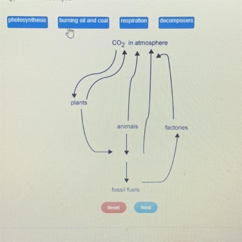 Identify the missing parts of the carbon cycle-example-1