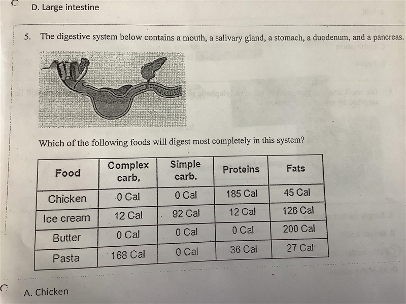 The digestive system blow contains a mouth, a salivary a stomach, a duodenum and a-example-1