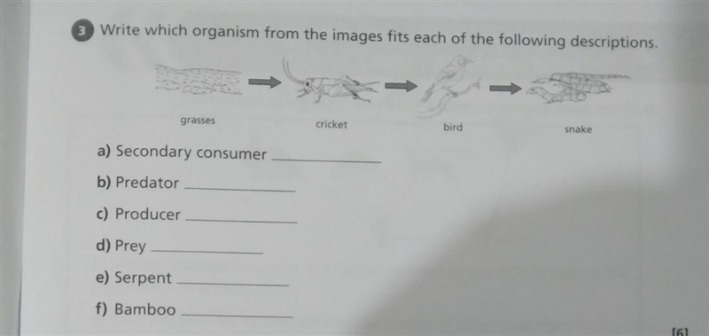 Help with questions in image-example-1