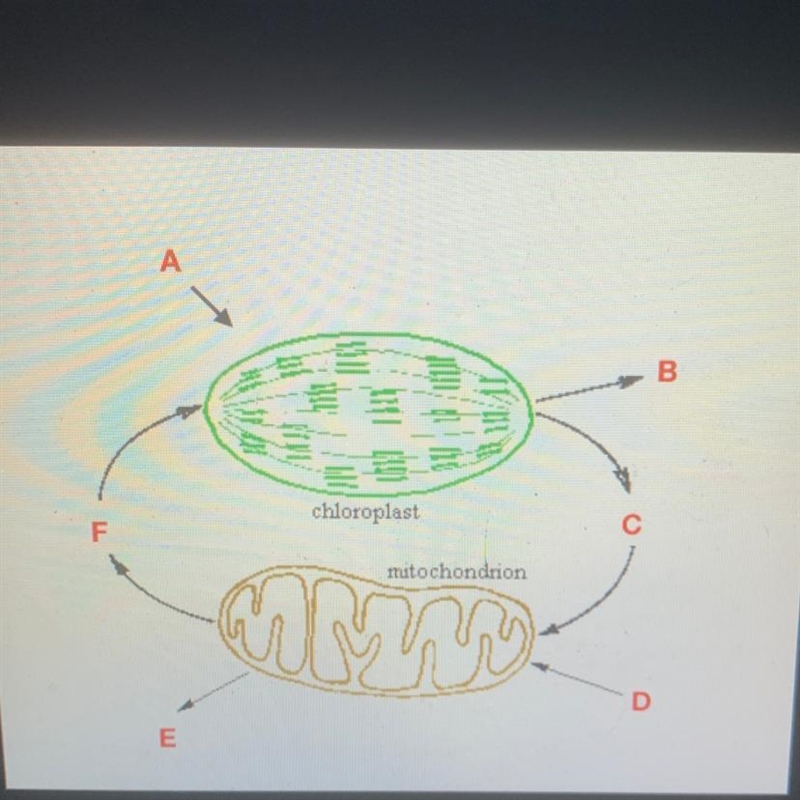 According to the law of conservation of mass, the mass of the products in a chemical-example-1