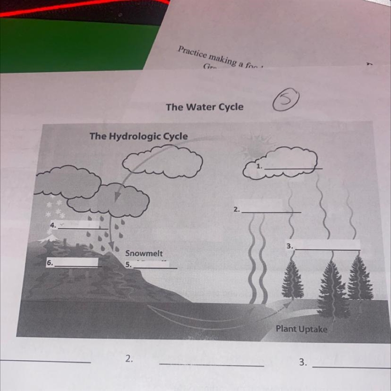 The Water Cycle Help :)-example-1