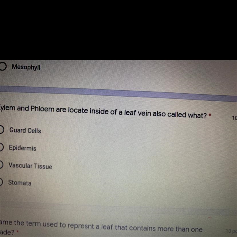 Xylem and Phloem are locate inside of a leaf vein also called what? 10 points Guard-example-1