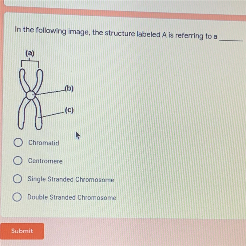 A : chromatid b : centroemere c : single strand chromosome d : double strand chromosome-example-1