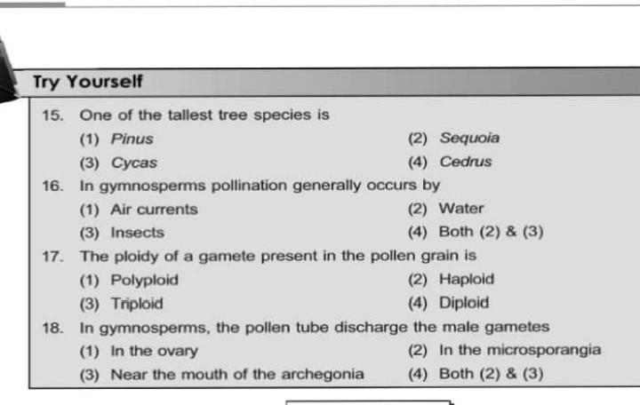 Can Anyone answer it​-example-1