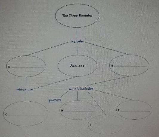 Fill in the concept map below:​-example-1