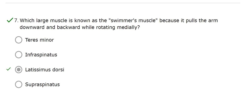 Which large muscle is known as the "swimmer's muscle" because it pulls the-example-1