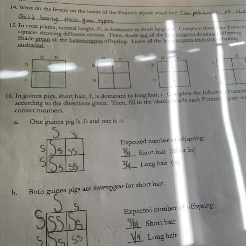 Help!!! I need help with number 15!!!-example-1