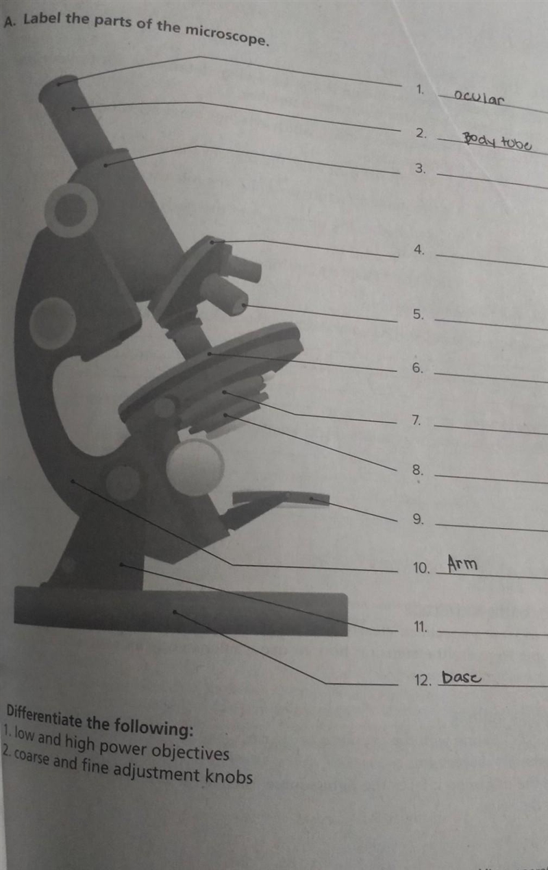 Label the parts of the microscope​-example-1