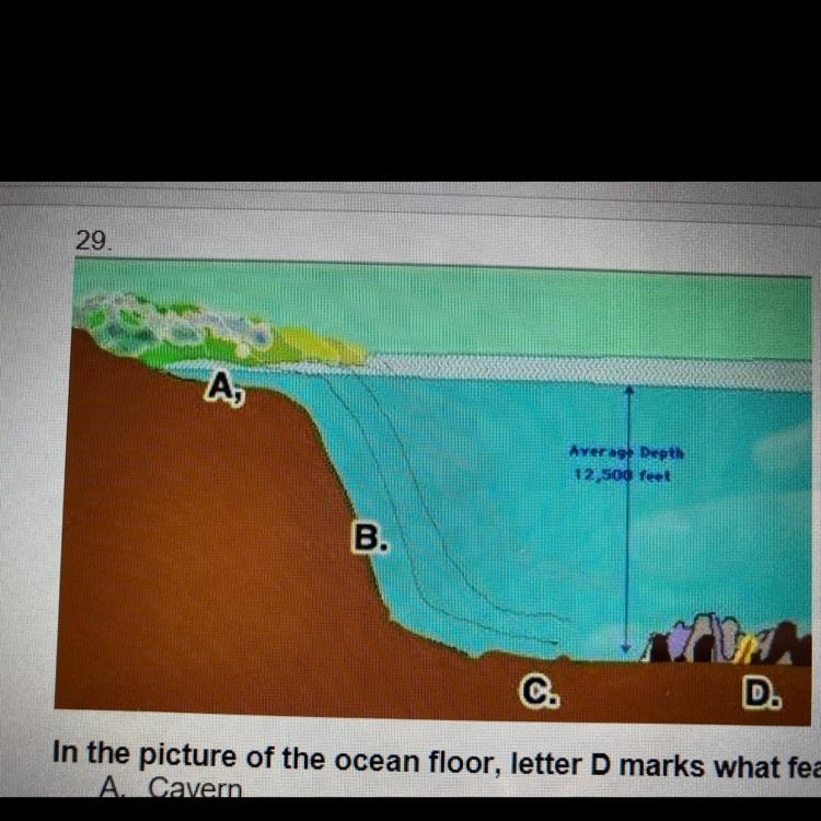 In the picture of the ocean floor, letter D marks what feature? A Cavern B. Rift zone-example-1