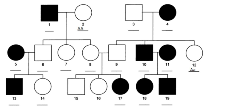 What is the genotype of person #8?-example-1