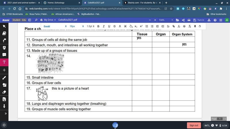 IN SCIENCE :d HELP PLEASE-example-1